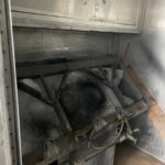 Box trailer 246BHN-Paint-Room-MO1 for sale.